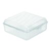 Rotho Fun Lunchbox Vierkant 2.35L Transparant