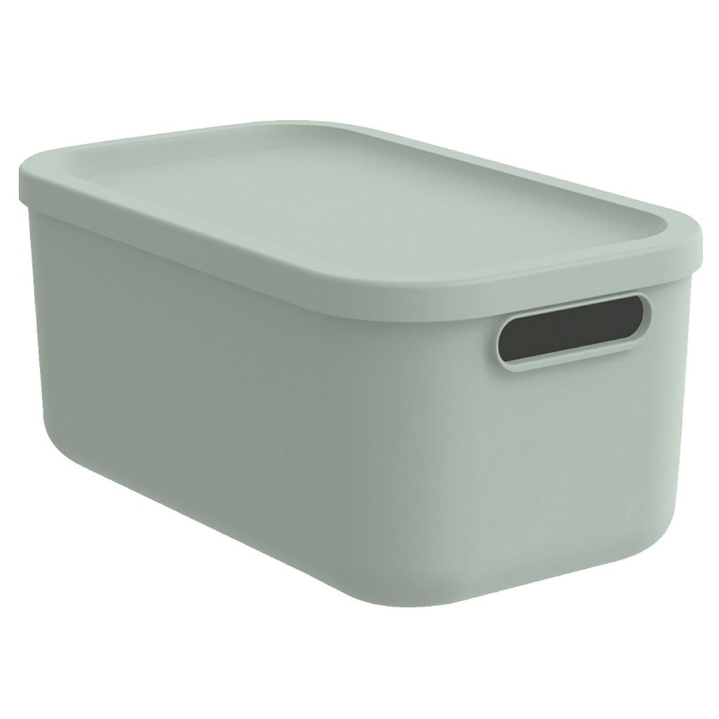 Rotho KAYO Multi Box 39.5×23.5×17.7 cm 12L Sage Green