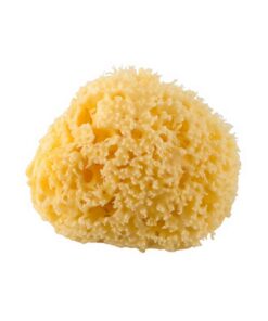 Rotho Mediterane Natuur Spons