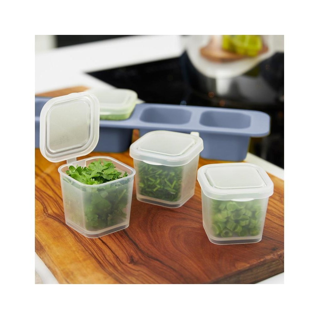 Rotho Mini Diepvriesdoosjes 4x0.05L Horizon Blauw/Transparant - Image 2