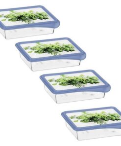 Rotho RONDO Diepvriesdozen Verse Kruiden 4x0.2L Horizon Blauw/Transparant