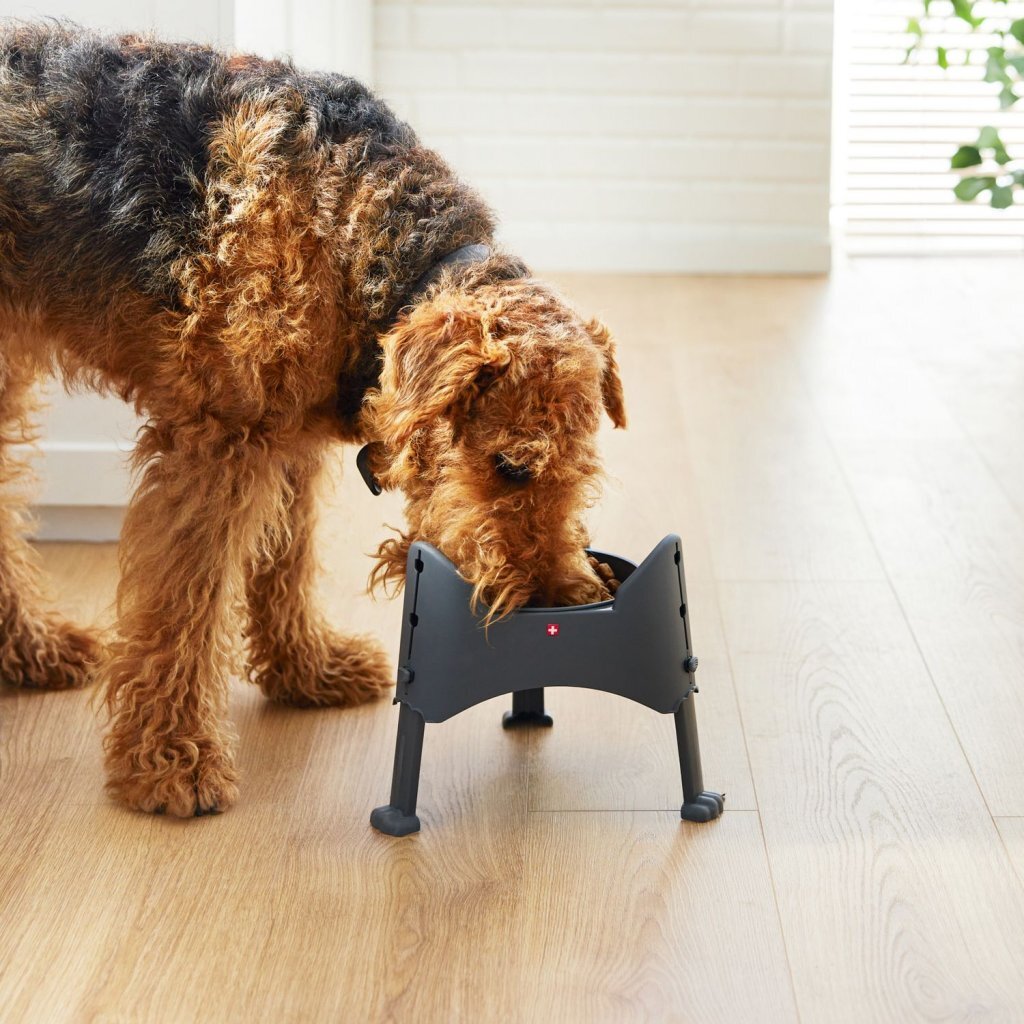 Rotho Sammy Verstelbare Voederbak 1.02L Antraciet - Image 2