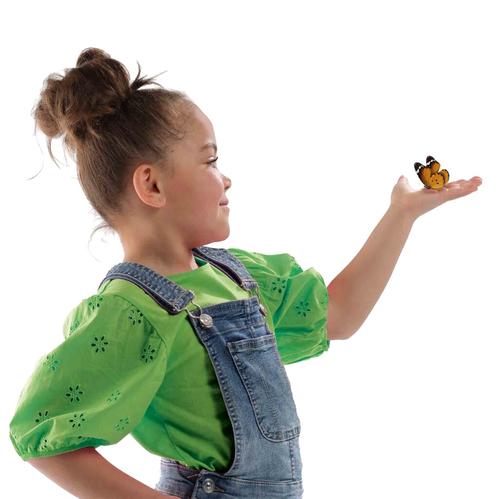 SES Creative Explore Houten Vlinderhotel Maken - Image 4