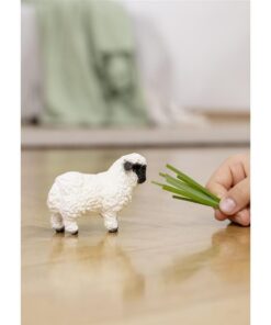 Alternative view of Schleich Walliser Schwarznase Schaap