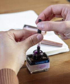 Alternative view of Schneider S-166101 Piston Convertor