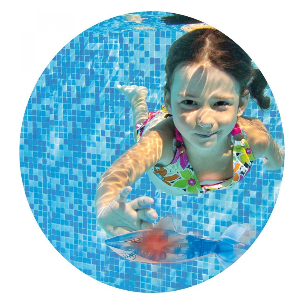 Splash Duikhaai + Licht - Image 3