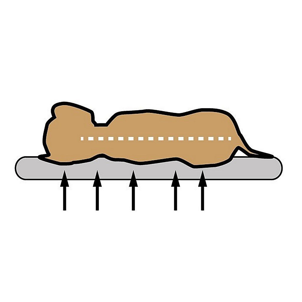 Sun Garden Lou Orthopedisch Hondenkussen 100x70x5cm Antraciet - Image 2