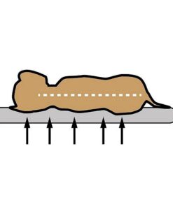 Alternative view of Sun Garden Popey Orthopedisch Hondenkussen 80x55x17cm Grijs/Gemeleerd