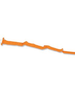 Vlaggenmast Wimpel Oranje