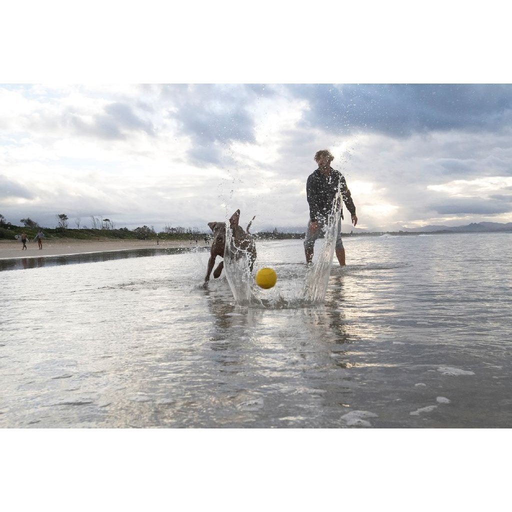 Waboba Pet Fetch Ball - Image 4