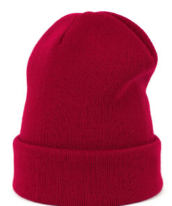 pet model 185704 Art of polo