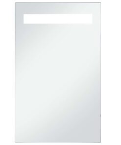 vidaXL Badkamerspiegel LED 60x100 cm