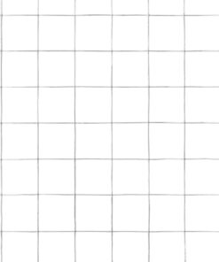 5 m gegalvaniseerd staal zilverkleurig