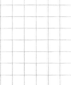 5 m gegalvaniseerd staal zilverkleurig