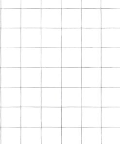 5 m gegalvaniseerd staal zilverkleurig