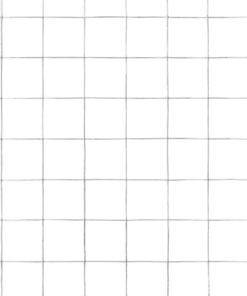 5 m gegalvaniseerd staal zilverkleurig