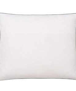 vidaXL Kussens 2 st zwaar 70x60 cm dons-/verenvulling wit