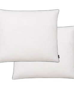 vidaXL Kussens 2 st zwaar 70x60 cm dons-/verenvulling wit