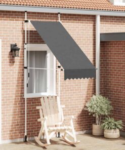 vidaXL Luifel handmatig uittrekbaar 100 cm antraciet