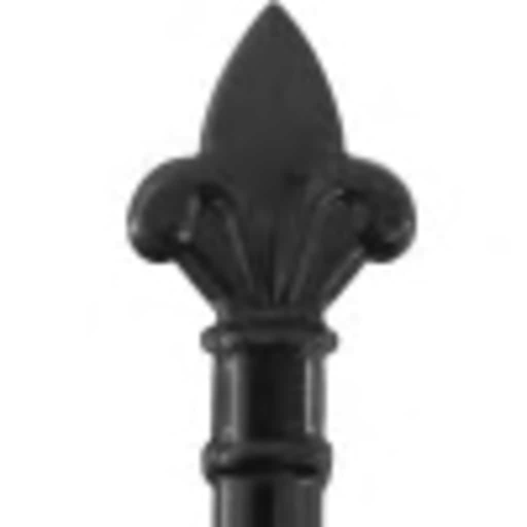 vidaXL Poort met puntige bovenkant dubbel 3x1