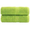 vidaXL Premium washandjes SOLUND 2 st appelgroen 30x30 cm 600 g/m2