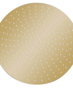 vidaXL Regendouchekop rond 50 cm roestvrij staal goudkleurig