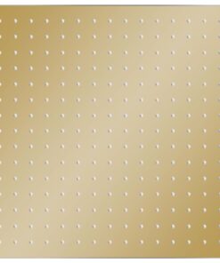 vidaXL Regendouchekop vierkant 40x40 cm roestvrij staal goudkleurig