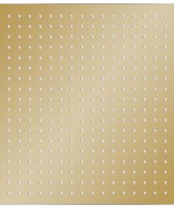 vidaXL Regendouchekop vierkant 50x50 cm roestvrij staal goudkleurig