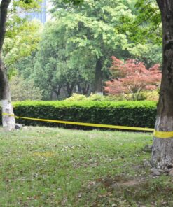 vidaXL Slackline 15 m x 50 mm 150 kg geel