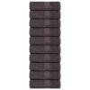 vidaXL Washandjes FROGN 10 st 15x21 cm 360 g/m² antraciet