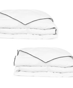 vidaXL Winterdekbedden 2 st 135x200 cm dons