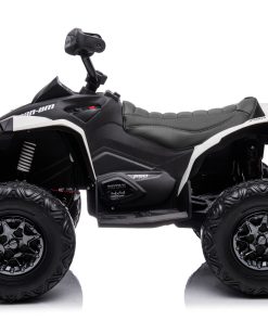 Alternative view of CAN-AM 24V Renegade Wit