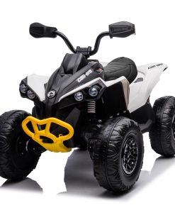 CAN-AM 24V Renegade Wit