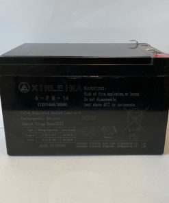 Kinderauto accu Xinleina 12V 10Ah