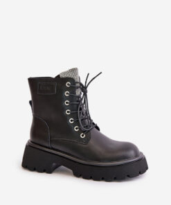 Alternative view of Laarsjes model 201908 Step in style