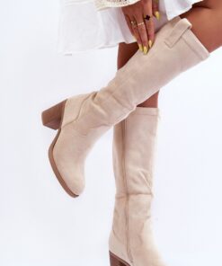 Laarzen met hoge hakken model 185243 Step in style