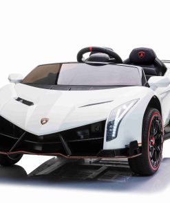 Lamborghini Veneno, 2-persoons