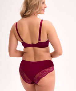 Alternative view of Semi-soft model 221774 Gaia