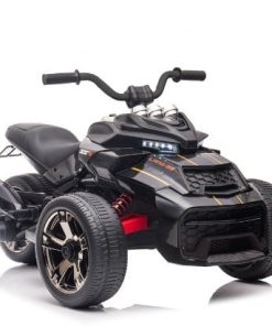 Trike Spyder12V Zwar