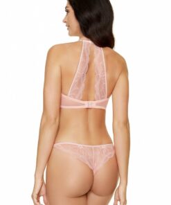 Alternative view of Zacht model 154223 Gorteks