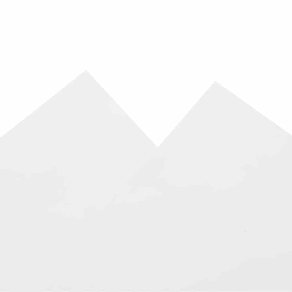 vidaXL Dekzeil 650 g/m² 6x8 m wit - Afbeelding 6