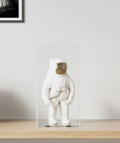 vidaXL Displaybox transparant 20x20x38 cm acryl