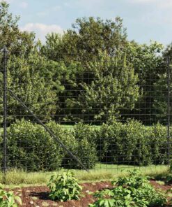 vidaXL Draadgaashek met flens 2x25 m antracietkleurig