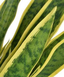 vidaXL Kunst sanseveria plant met pot 65 cm groen