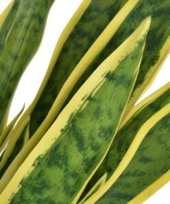 vidaXL Kunst sanseveria plant met pot 90 cm groen
