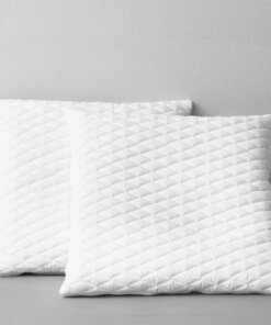 vidaXL Kussens 2 st 80x80x14 cm traagschuim