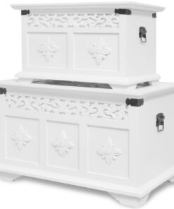 vidaXL Opbergkisten set wit 2 st