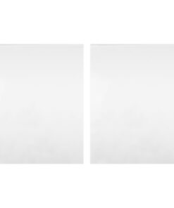 vidaXL Spiegelfolies 2 stuks zelfklevend 60x100 cm PET