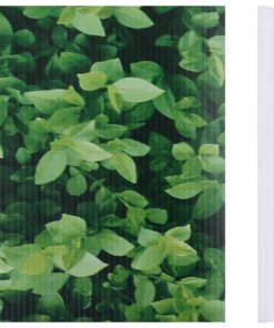 vidaXL Tuinscherm 35x0