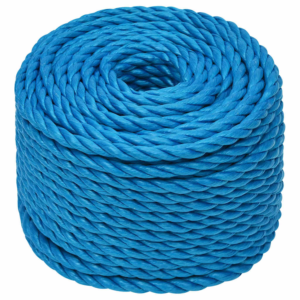 vidaXL Werktouw 10 mm 50 m polypropeen blauw